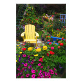 Garden designs in Garden Sammamish, Foto Afdruk (Voorkant)