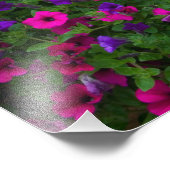 Garden designs in Garden Sammamish, Foto Afdruk (Hoek)