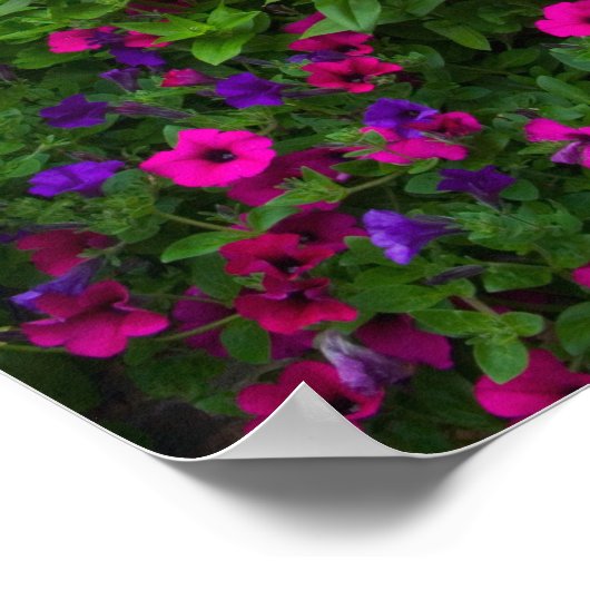 Garden designs in Garden Sammamish, Poster (Hoek)