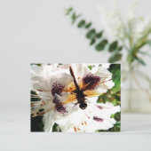 Garden Dragonfly Briefkaart (Staand voorkant)