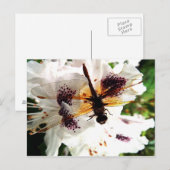 Garden Dragonfly Briefkaart (Voorkant / Achterkant)