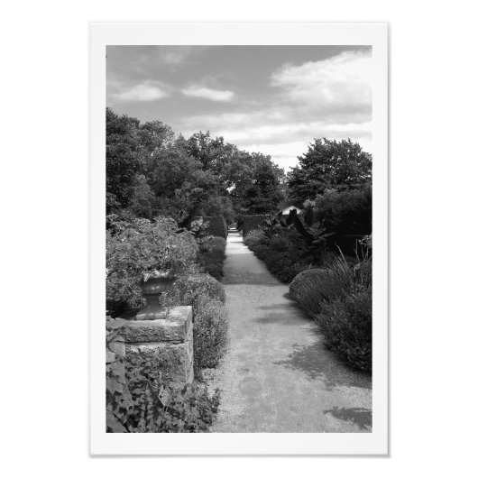 Garden Dream Foto Afdruk (Voorkant)