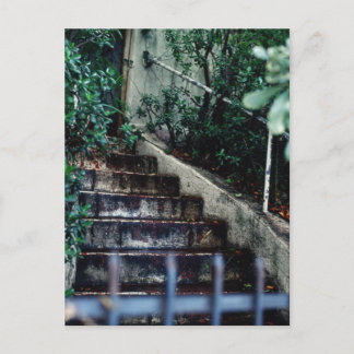 Garden Entrance Briefkaart