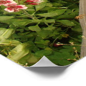 Garden Fence Print (Hoek)