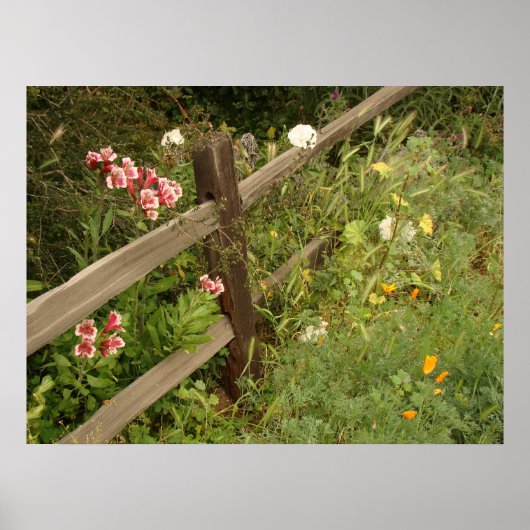 Garden Fence Print (Voorkant)