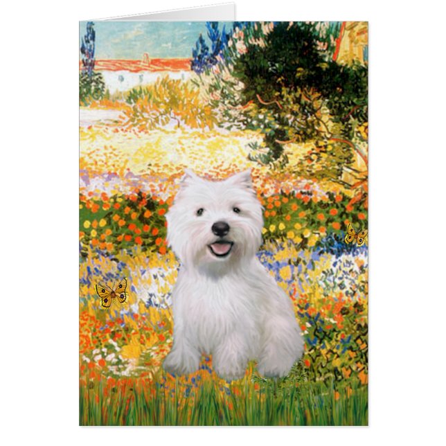 Garden Fiorito - Westie 2 (Voorkant)