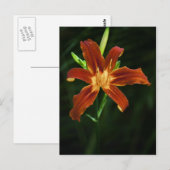 Garden Flame Briefkaart (Voorkant / Achterkant)