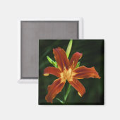 Garden Flame Magnet (Voorkant / Achterkant)