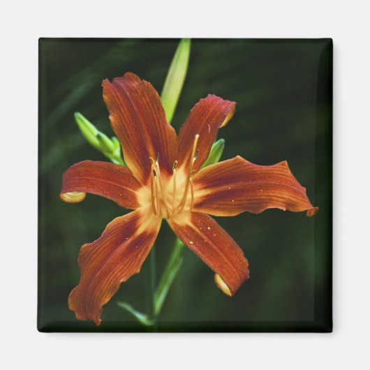 Garden Flame Magnet (Voorkant)