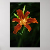 Garden Flame Print (Voorkant)