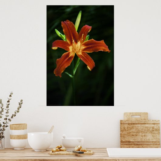 Garden Flame Print (Keuken)