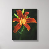Garden Flame Wrapped Canvas Afdruk (Voorkant)
