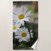 Garden Flower Daisies