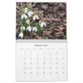 Garden Flowers 2017 Agenda Kalender (Jan 2026)