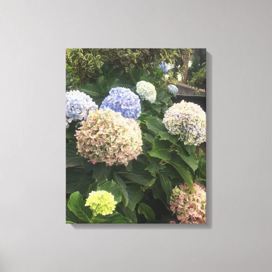 Garden Flowers Canvas Afdruk (Voorkant)
