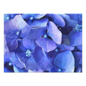 GARDEN FLOWERS FOTO AFDRUK (Voorkant)