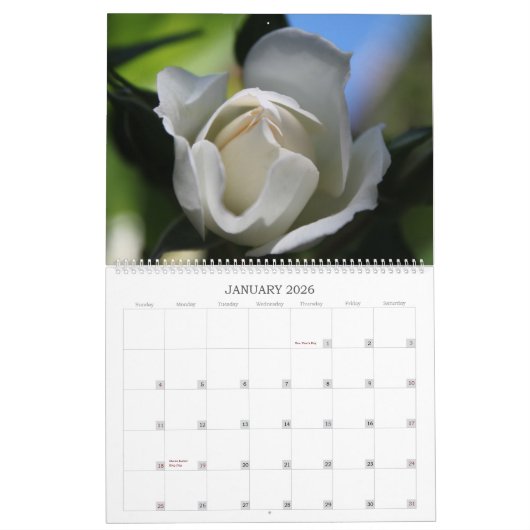 Garden Flowers Foto Art Kalender (Jan 2026)