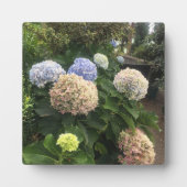 Garden Flowers Fotoplaat (Voorkant)