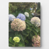 Garden Flowers Fotoplaat (voorkant)