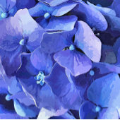 GARDEN FLOWERS HANDWAAIER