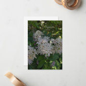 Garden Flowers Notitiekaartje (Voorkant / Achterkant in situ)