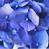 GARDEN FLOWERS POSTER