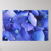 GARDEN FLOWERS POSTER (Voorkant)