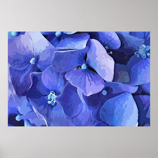 GARDEN FLOWERS POSTER (Voorkant)