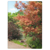 Garden Foto Lush Spring Park Path om het even welk Klembord (Achterkant)