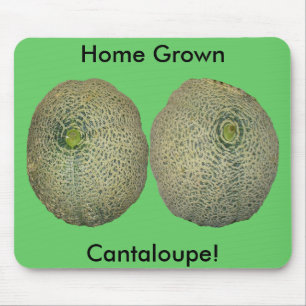 Garden Fresh Cantaloupe Muismat