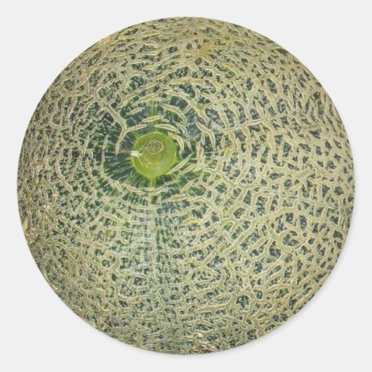 Garden Fresh Cantaloupe Ronde Sticker (Voorkant)