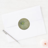 Garden Fresh Cantaloupe Ronde Sticker (Envelop)