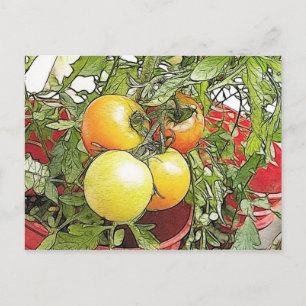 Garden Fresh Heirloom Tomaten Briefkaart