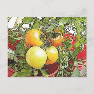 Garden Fresh Heirloom Tomaten Briefkaart