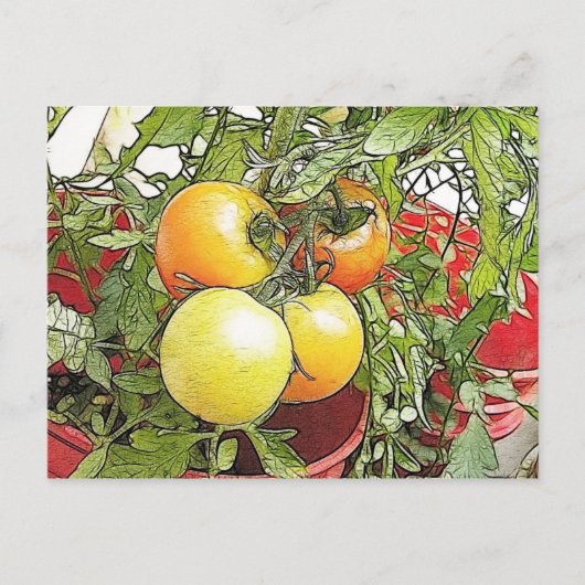 Garden Fresh Heirloom Tomaten Briefkaart (Voorkant)