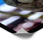 Garden Frog Art Poster (Hoek)