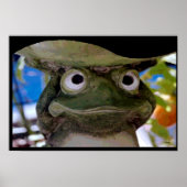 Garden Frog Art Poster (Voorkant)