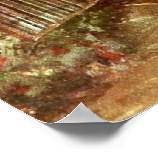 Garden Gate Poster (Hoek)