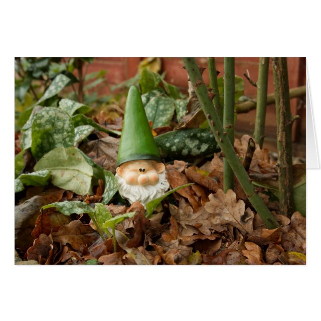 Garden gnome (Voorkant Horizontaal)