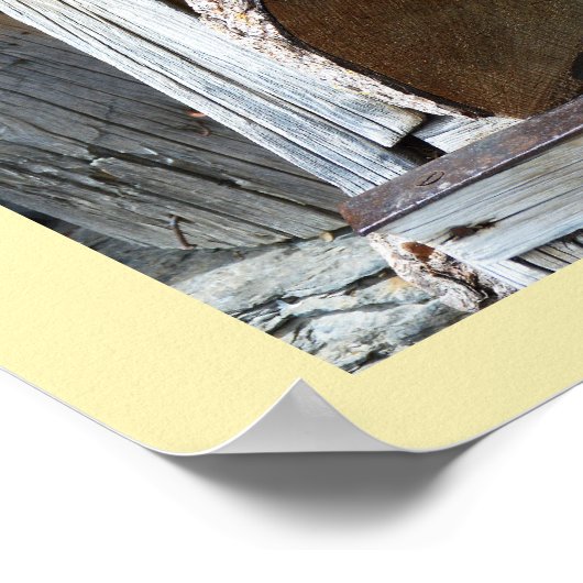 Garden gnome poster (Hoek)