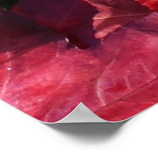 Garden-gnomen in de gaarne-Herfst rode bruine blad Poster (Hoek)