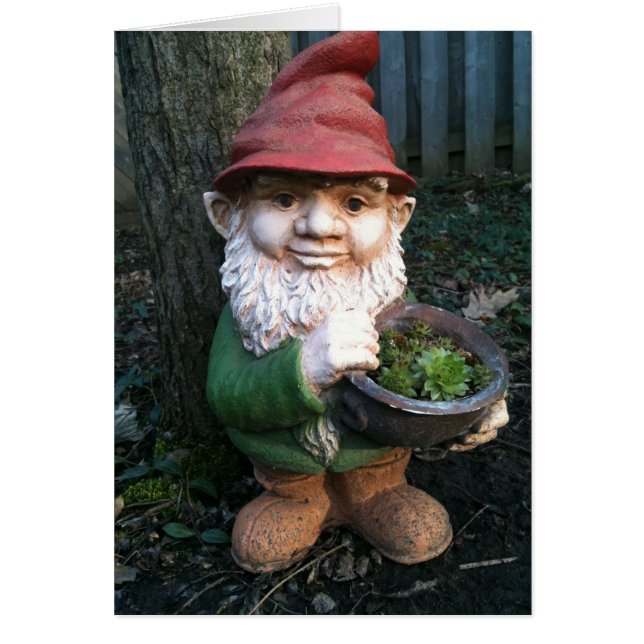 Garden Gnomes (Voorkant)