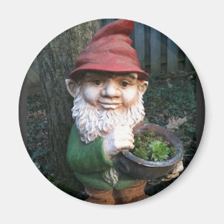 Garden Gnomes Magneet