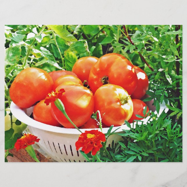 Garden Goodies (Voorkant)