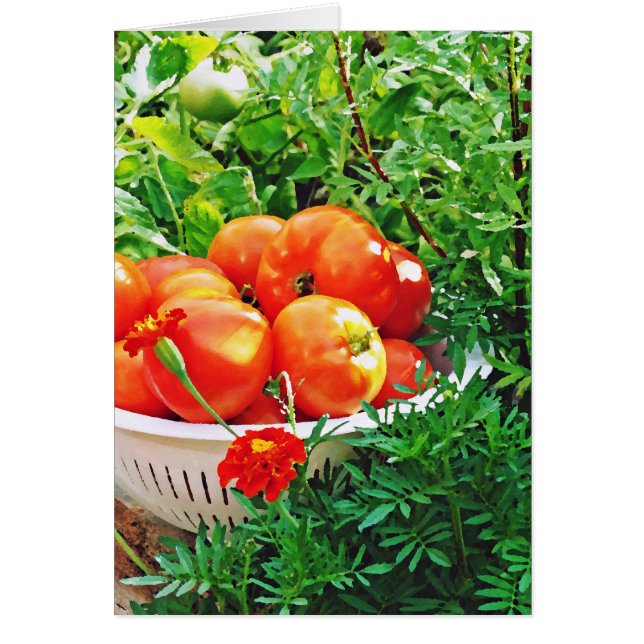 Garden Goodies (Voorkant)