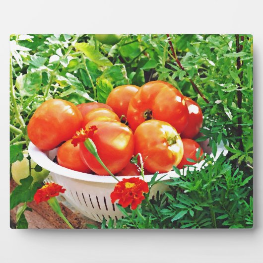 Garden Goodies Fotoplaat (Voorkant)