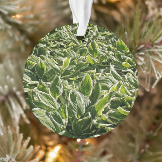 Garden Green Leaf Cute Vaderdag Plant Papa Gift Ornament (Boom)