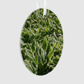 Garden Green Leaf Cute Vaderdag Plant Papa Gift Ornament (voorkant)