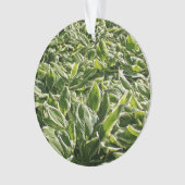 Garden Green Leaf Cute Vaderdag Plant Papa Gift Ornament (voorkant)