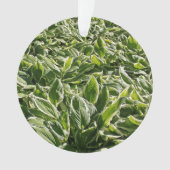 Garden Green Leaf Cute Vaderdag Plant Papa Gift Ornament (voorkant)